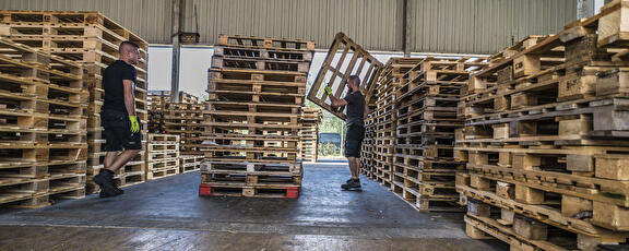 Medewerkers pallets aan het sorteren